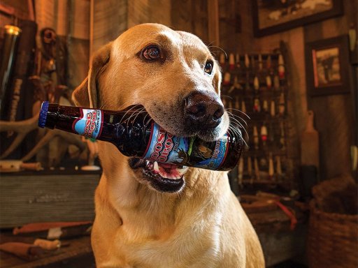 Beerdog.jpg