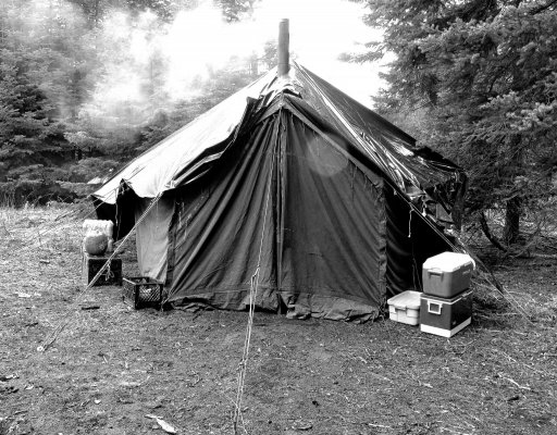 CookShack Elk Camp 2010.jpg