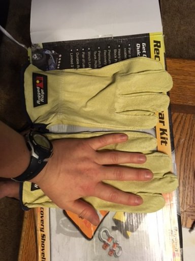 Gloves.JPG