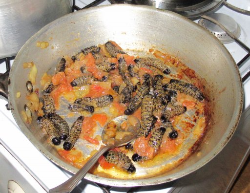 Mopane stew copy.JPG