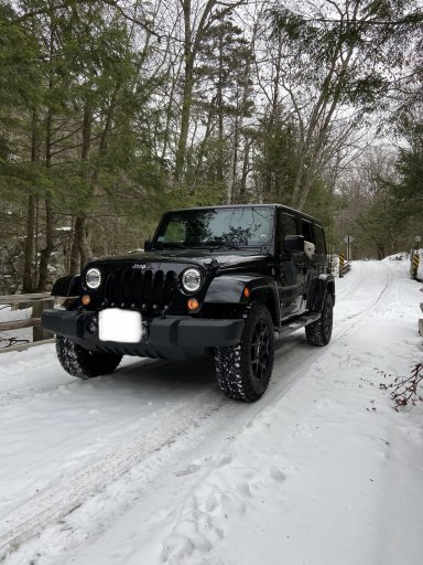 Wrangler in Sandwich Notch 12.30.20.jpg