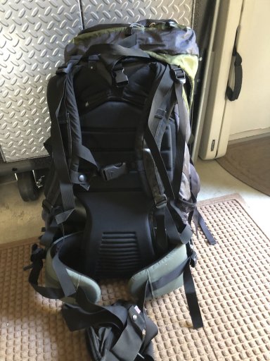 Gregory forester outlet backpack