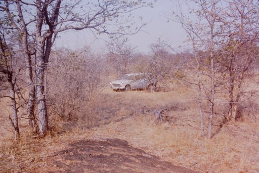 Peugeot 404 in Botswana.jpeg