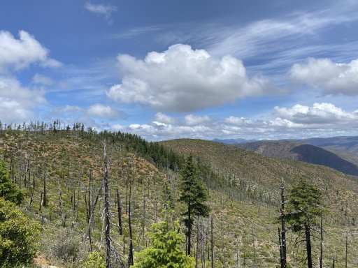 E4D5425B-907B-4FA0-B412-A2C958C6D120 (1).jpeg