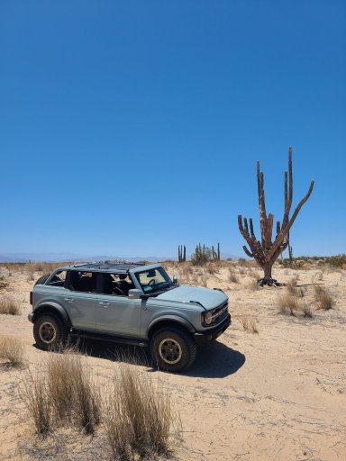 Bronco Desert.jpg