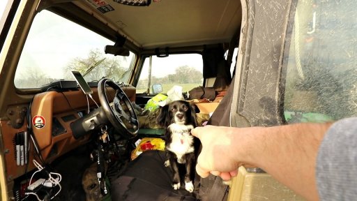 Annie in the Jeep.jpg