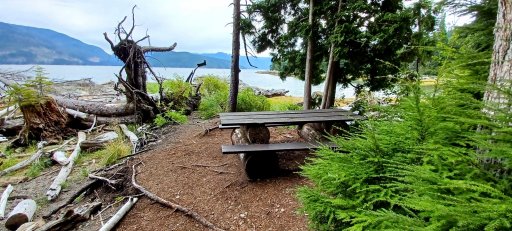 North Cove table and boot.jpg