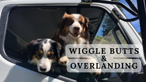 Wiggle Butts.png