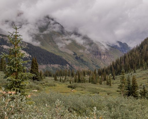 Colorado 2024 Landscape (195).jpg