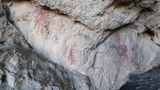 20250419_090613.jpg
