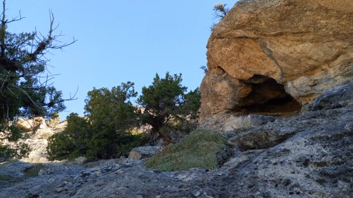 20250419_091636.jpg
