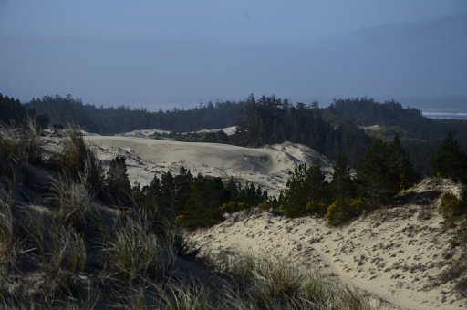 ordunes lo 1.JPG