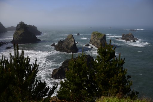 orcoast 6.JPG