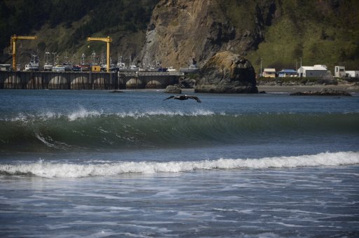 orcoast 11.JPG