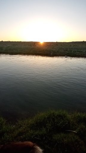20250502_202733_HDR.jpg