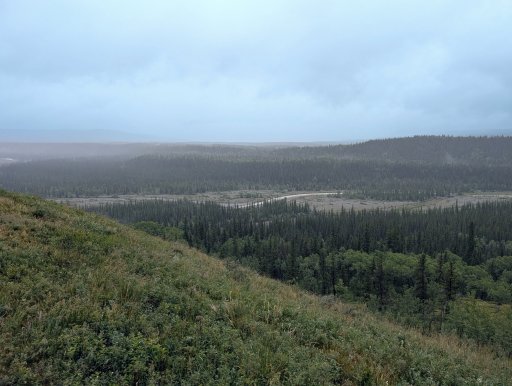 PXL_20250621_124305230.MP~2.jpg