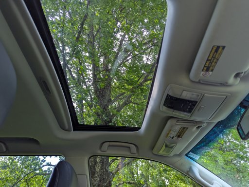 PXL_20250706_185418191.jpg