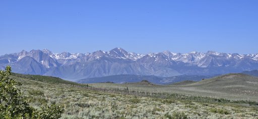 20250625_090248.jpg
