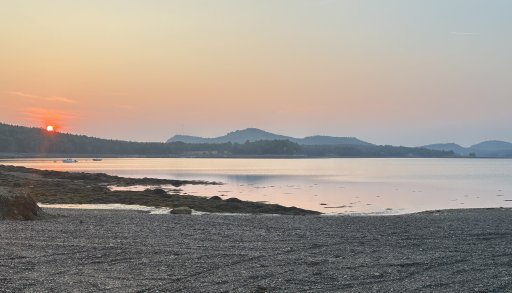 IMG_0811.jpeg