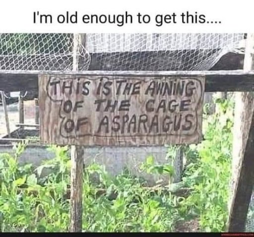 a.jpg