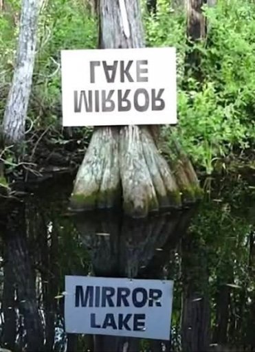 1000000778.jpg