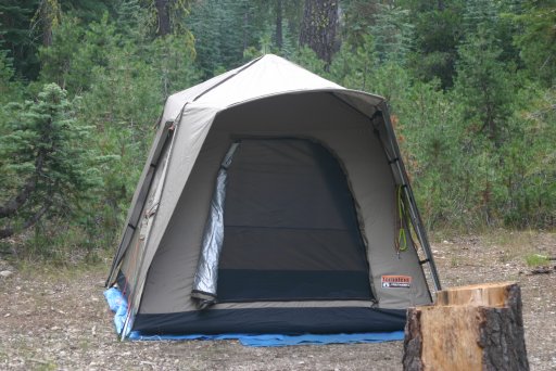 Black 2024 pine tents