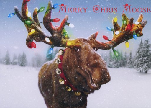 Merry Chris Moose 03.jpg