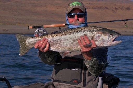 14.5 lb Pyramid Lake Cutthroat.jpg