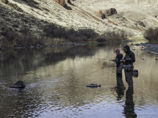 Owyhee-3160107.jpg