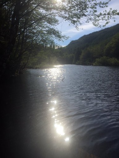 Jordan River Diversion Dam Sun on the water.jpeg