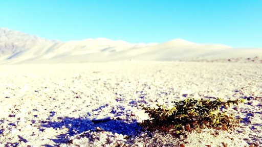 Eureka Dunes 3.jpg