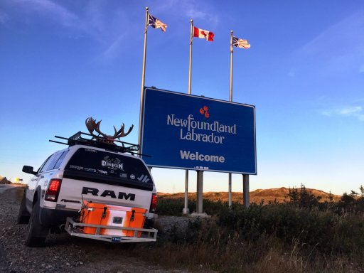 Rebel_Newfoundland_sign_moose.jpg