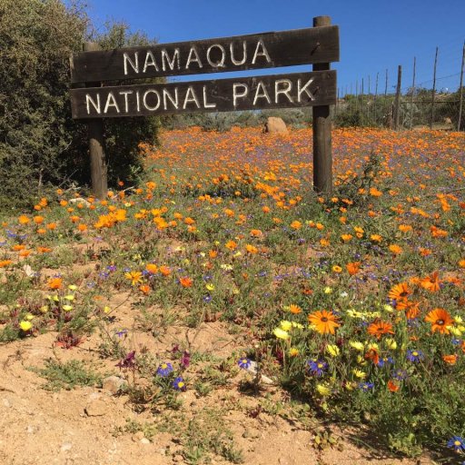 Namaqua-National-Park.jpg