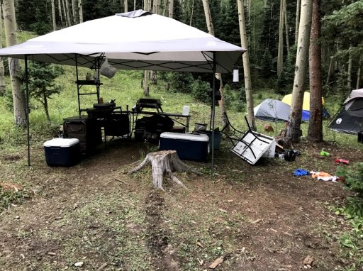 bear camp 4.jpg