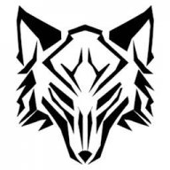 Gray_wolf