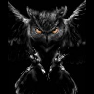 NiteOwl