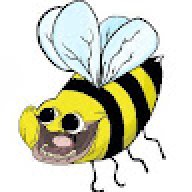 Jesse_2111f6