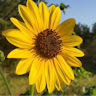 talycia_884eb5