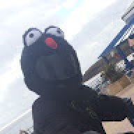 pingu_c704b1