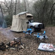 Overlanding Dobies