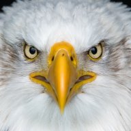 20TacoPilot