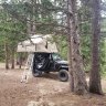 RockyMtnJeep