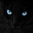 Leonard_4aaa16