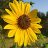 talycia_884eb5
