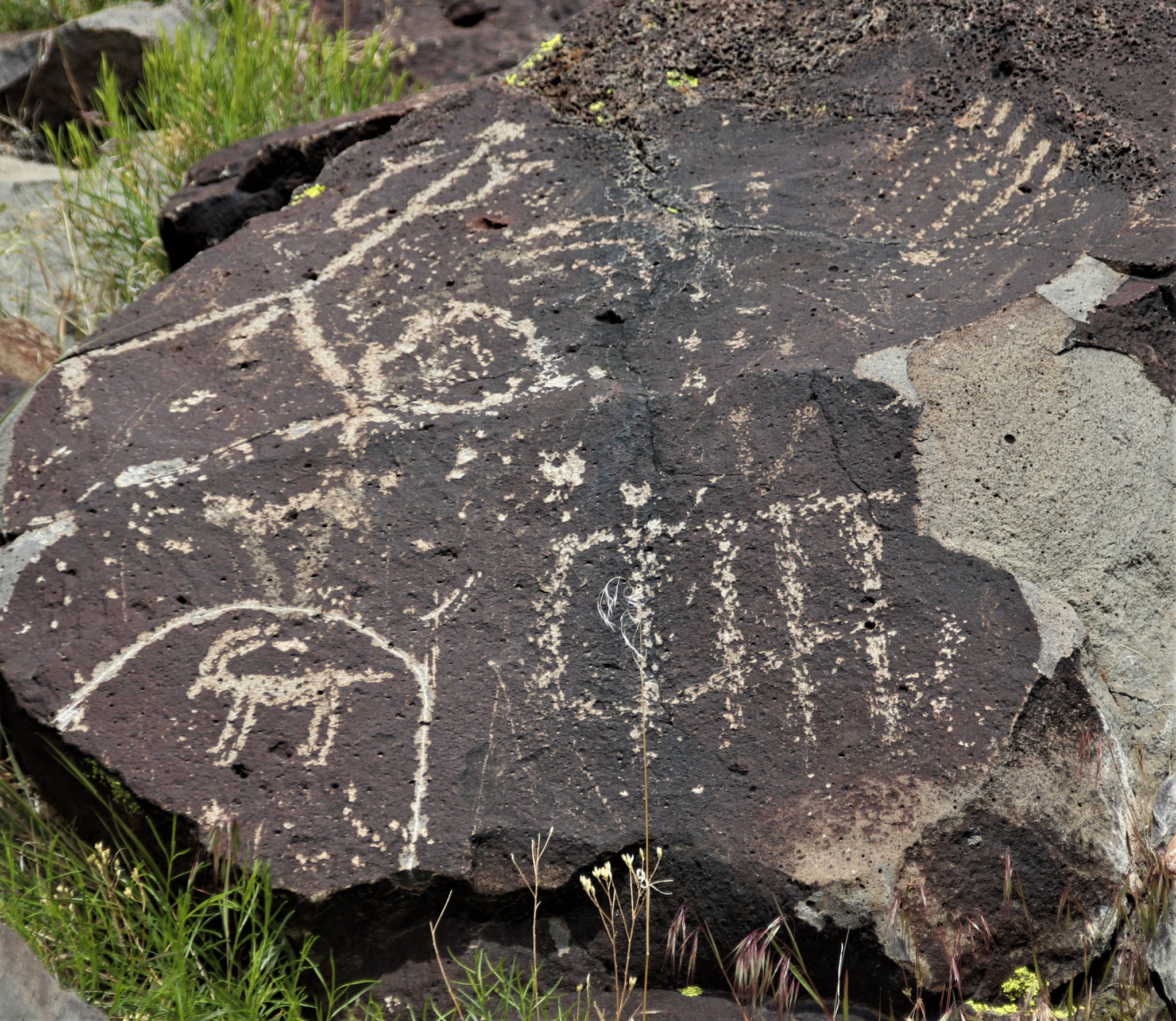 US West - Petroglyphs Day Run | OVERLAND BOUND COMMUNITY