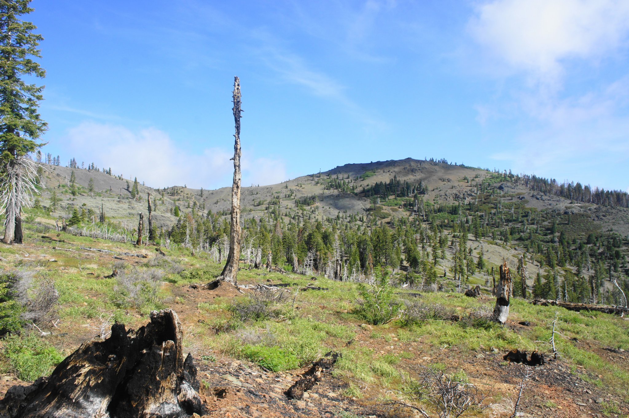 Clouds Build Over The Mendocino National Forest Photos Diagrams