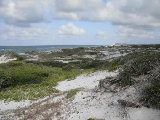 floridastateparks.reserveamerica.com
