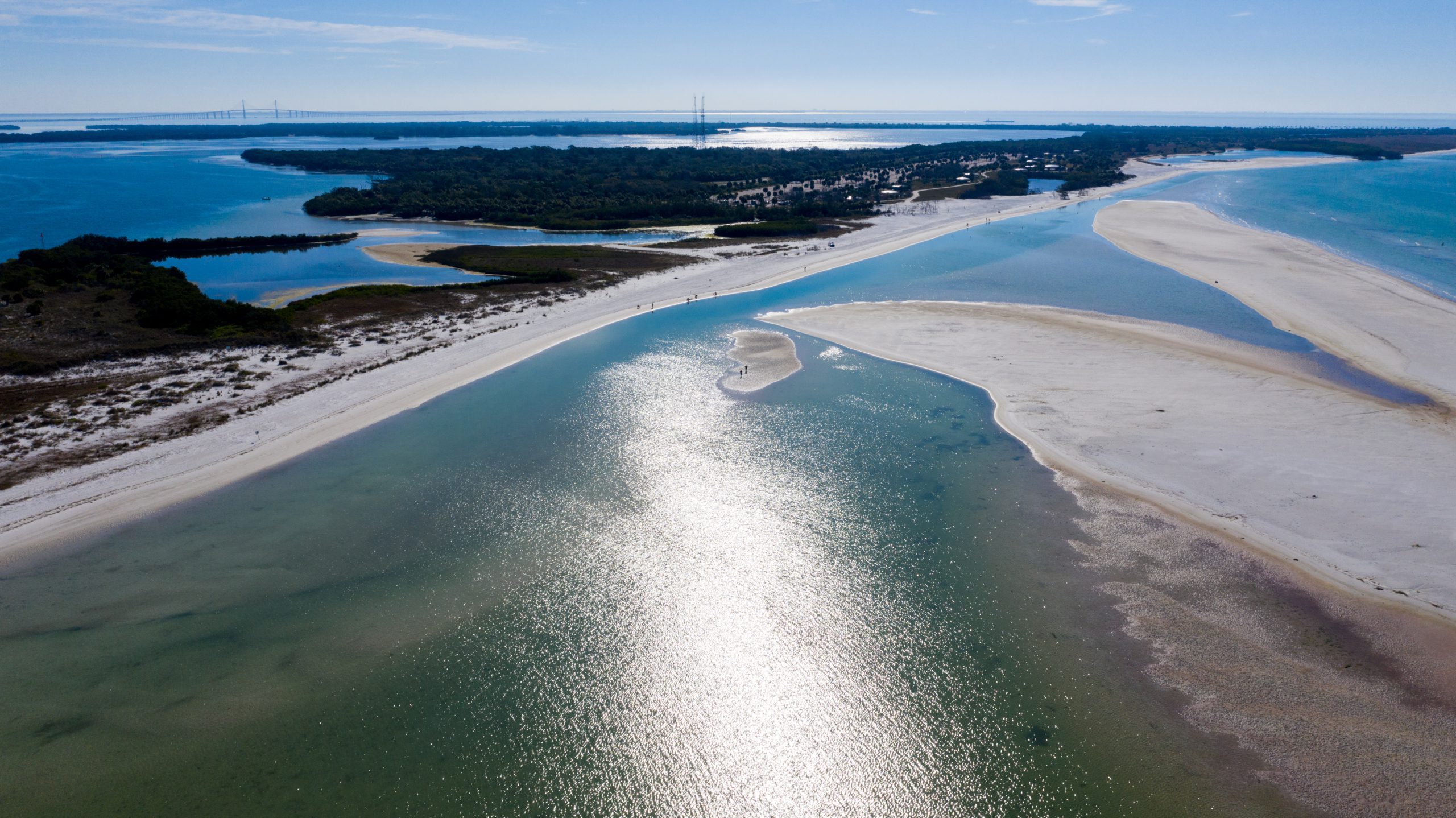 www.pinellascounty.org