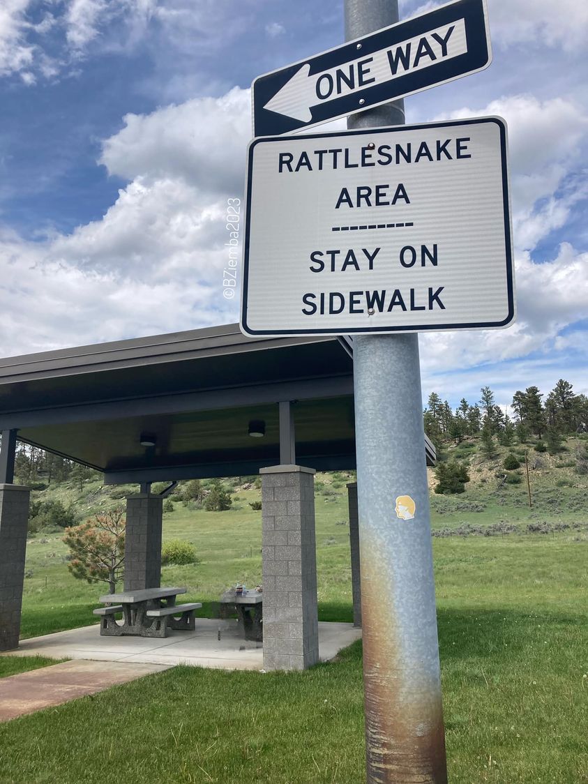 May be an image of snake and text that says 'ONE WAY RATTLESNAKE AREA -------- ON STAY SIDEWALK'