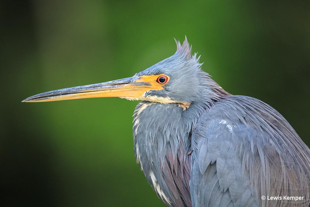 www.outdoorphotographer.com
